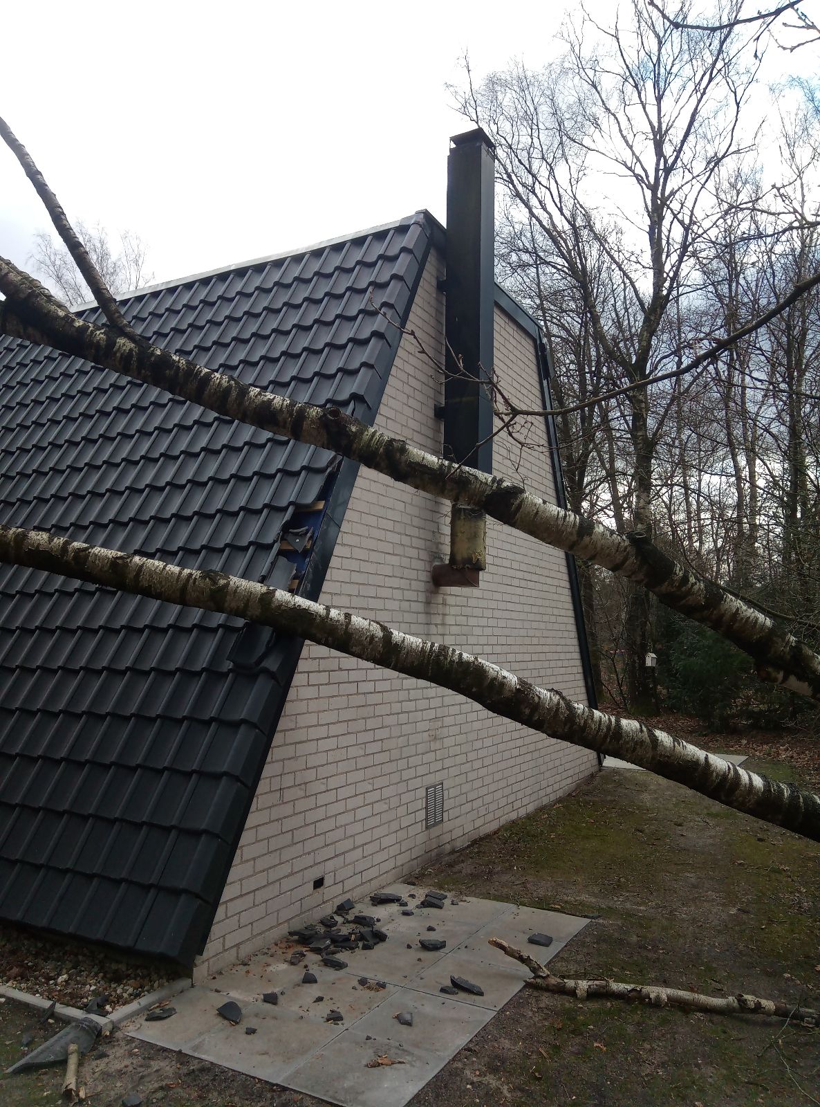 Omgevallen boom heeft bungalow geraakt